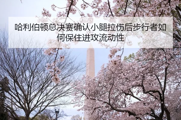 ha-li-bo-dun-zong-jue-sai-que-ren-xiao-tui-la-shang-hou-bu-xing-zhe-ru-he-bao-zhu-jin-gong-liu-dong-xing-1-161.jpg